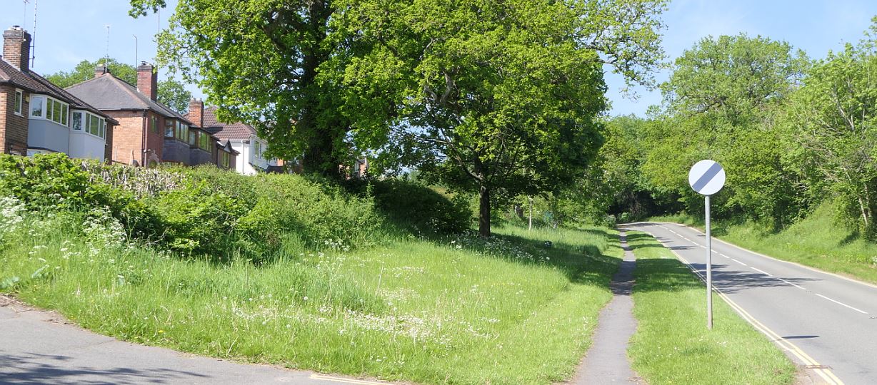 Newtown Linford, Markfield Lane verge NatureSpot